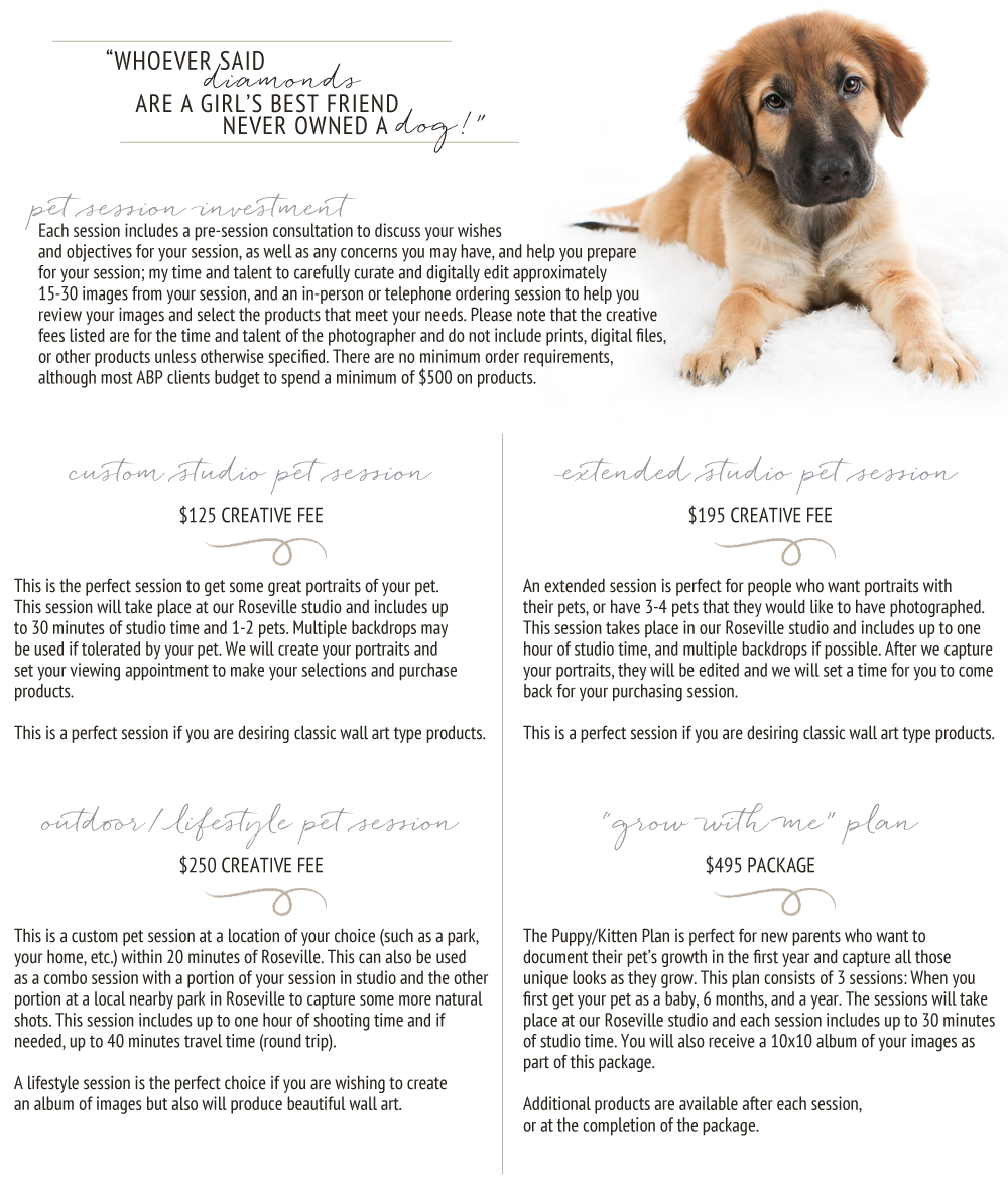 Pricing » Twin Cities Pet Photographer PETS by Angela Boone Photography